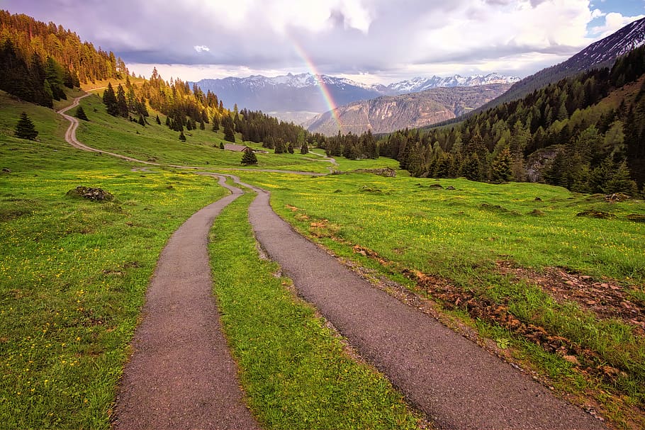 Green Grass Field Beside Pathway, clouds, daylight, environment HD wallpaper
