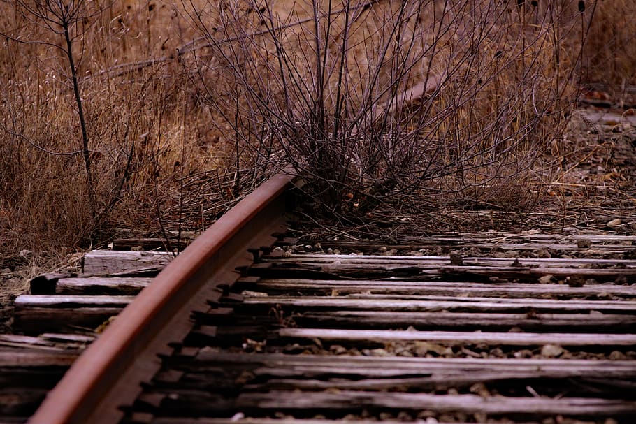 rail, railway, railtrack, railroad, railroad track, train tracks HD wallpaper