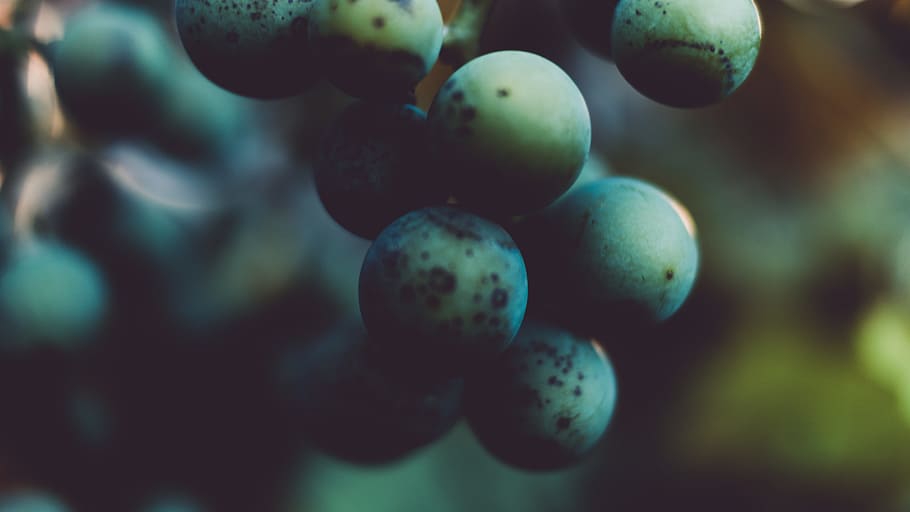 Low Light Photography of Cluster of Round Green Fruits, blur HD wallpaper