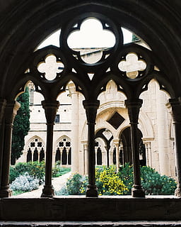 poblet, architecture, building, españa, patio, church, garden HD wallpaper