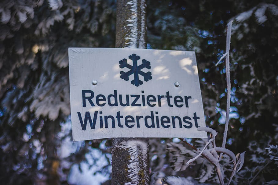 outdoor, sign, winter, cold, frozen, tree, leafs, blurry background HD wallpaper