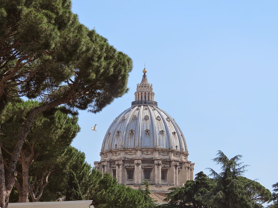 vatican city, dome, architecture, building exterior, built structure HD wallpaper