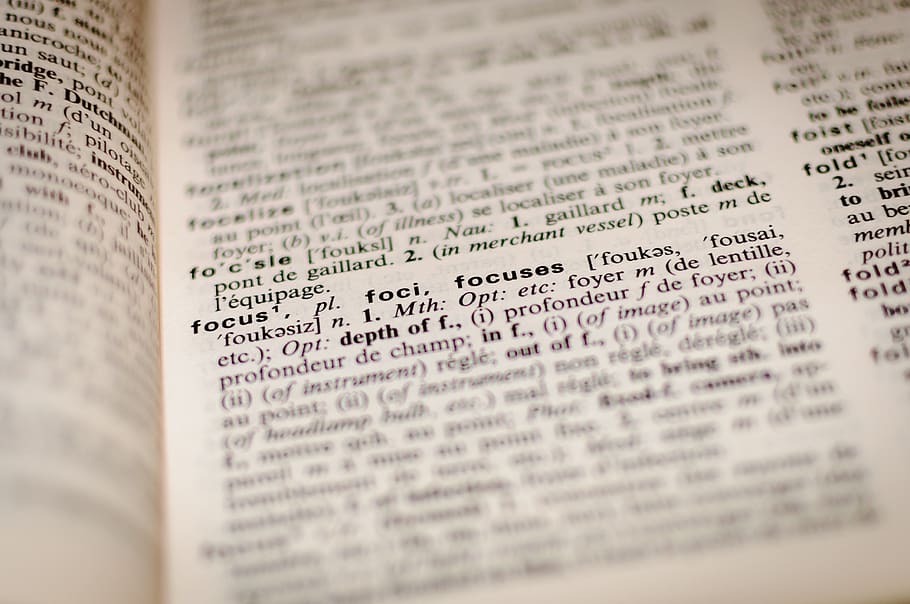 focus, words, dictionary, book, study, learning, education HD wallpaper