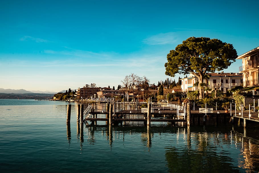Green Tree Near Dock and White Buildings, architecture, daylight HD wallpaper