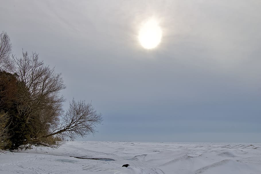 nature, outdoors, snow, winter, ice, scenery, sun, sky, landscape HD wallpaper