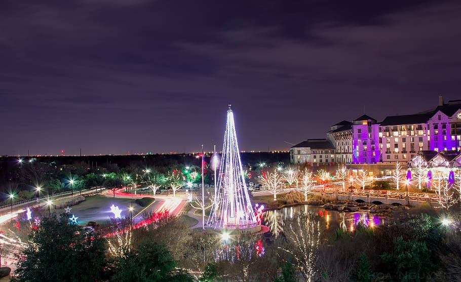 tree, trees, lights, sky, night, architecture, built structure HD wallpaper