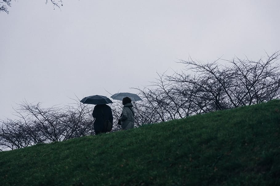 two persons under umbrella, human, canopy, plant, grass, apparel HD wallpaper