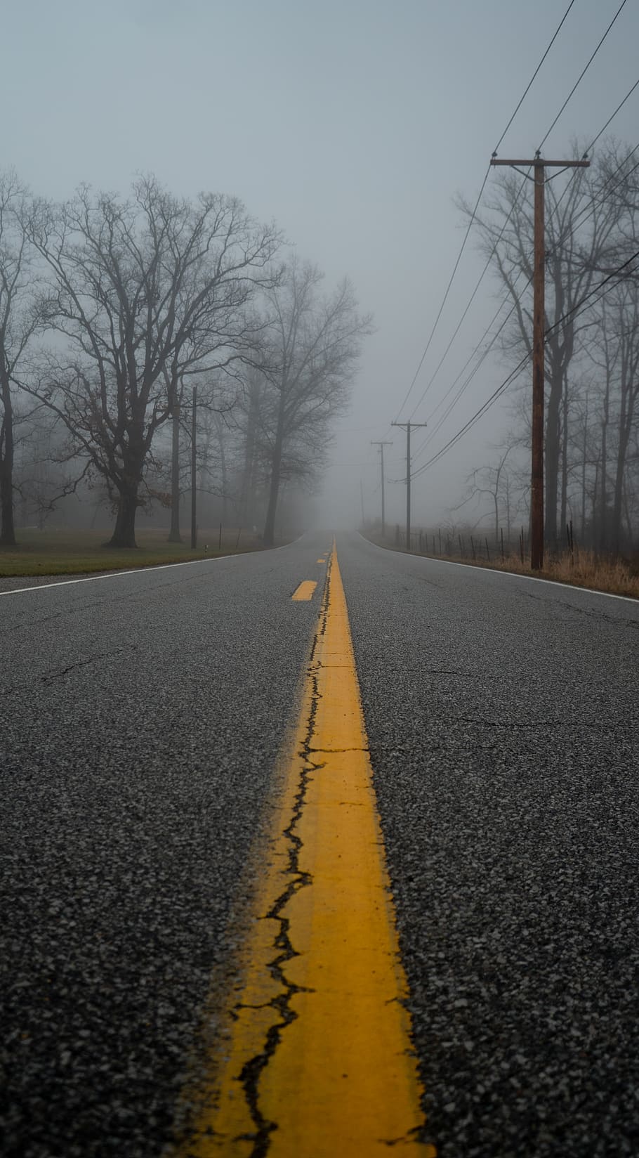 asphalt road between trees during daytime, tarmac, highway, nature HD wallpaper