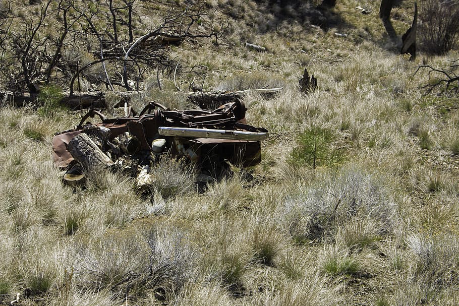 desert, grass, rust, car, plant, land, field, nature, tree HD wallpaper