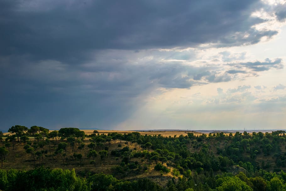 segovia, sunset, rain, pine, cloud - sky, beauty in nature HD wallpaper