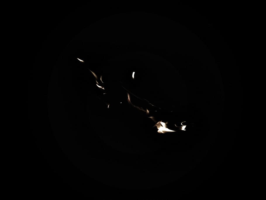 flare, light, lighting, fire, flame, plant, tree, spire, steeple HD wallpaper
