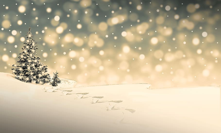 HD wallpaper: christmas, snow, winter, christmas time, cold, christmas  motif | Wallpaper Flare