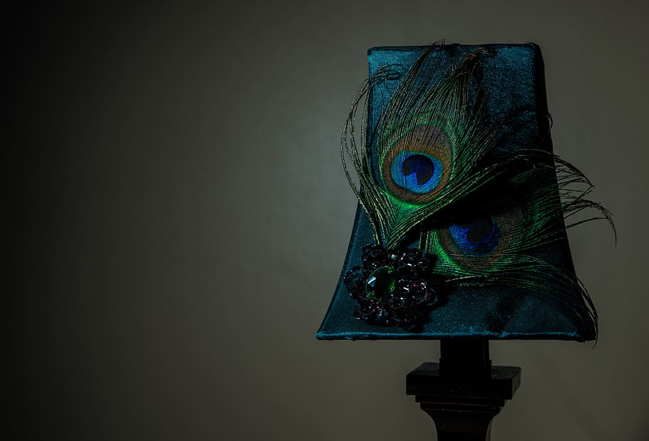 peacock feathers on a lampshade, animal, bird, table lamp, moody photography HD wallpaper