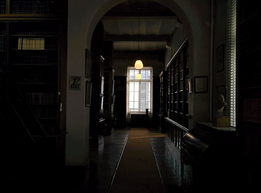france, maisons-alfort, library, dark, window, bookstore, architecture HD wallpaper