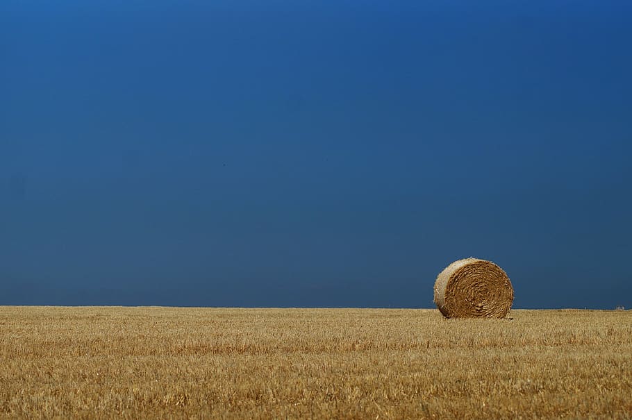 hay bales, straw, agriculture, harvest, field, rural, summer, HD wallpaper