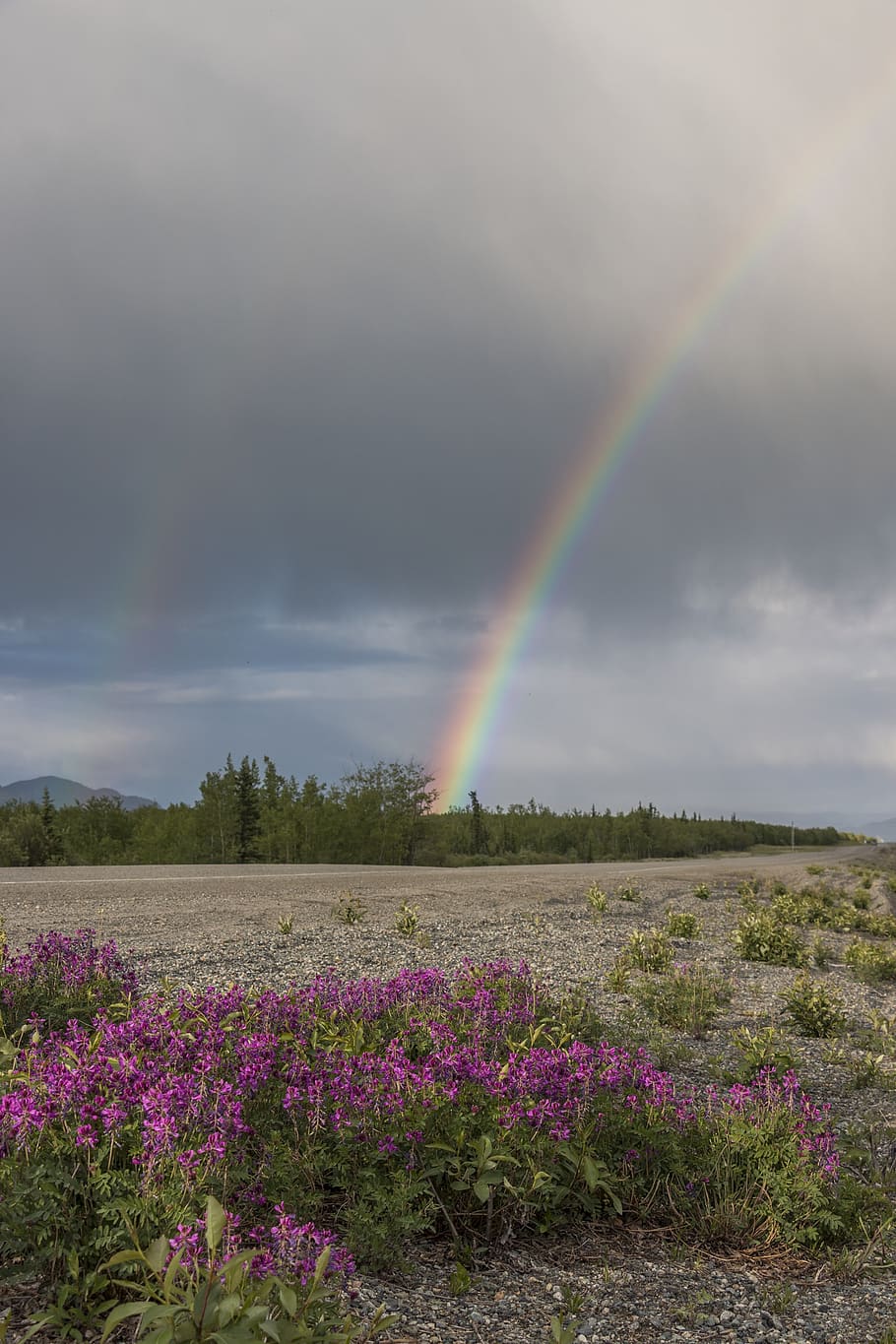 canada, yukon territory, beauty in nature, scenics - nature HD wallpaper