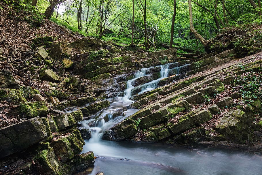 Water Running on Ruins, environment, flow, forest, landscape HD wallpaper