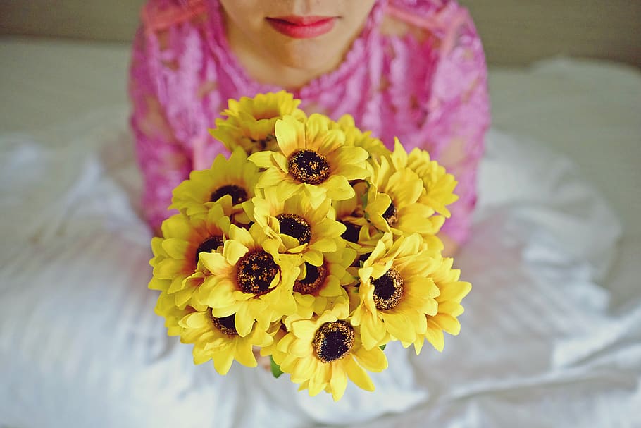flower, flowering plant, freshness, yellow, one person, close-up HD wallpaper