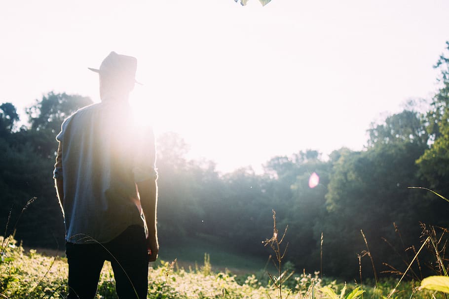 sunshine, sun rays, guy, man, hat, people, forest, woods, trees HD wallpaper