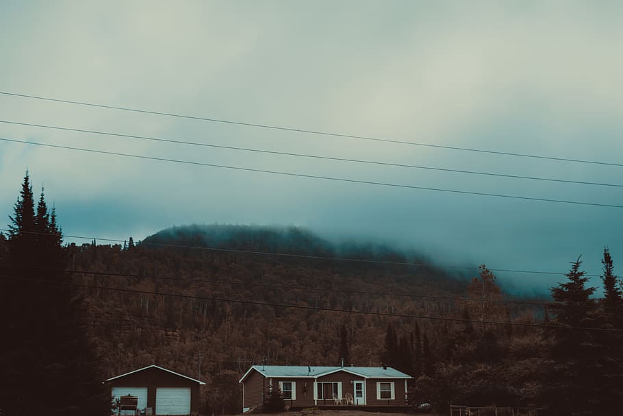 trees, sky, forest, house, calm, moody, color, monotone, nikon HD wallpaper