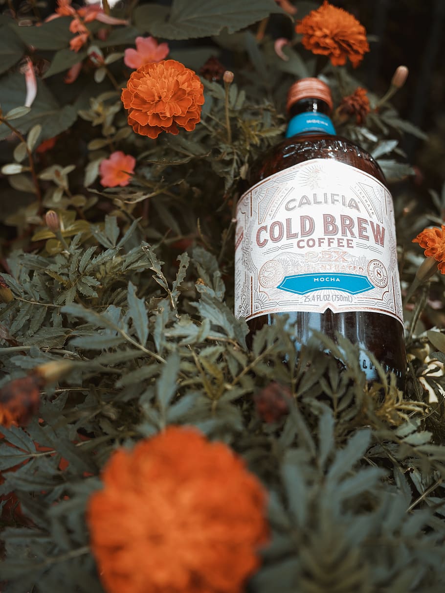 Califia cold brew bottle on orange petaled flower, beverage, drink, HD wallpaper