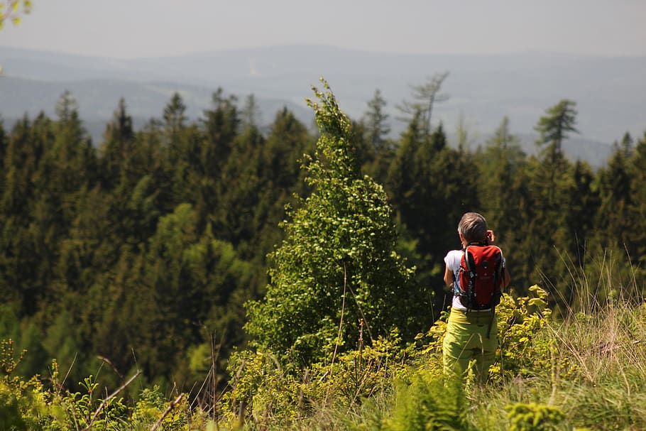 Woman Standing in Front of Green Leaf Trees, backpack, camera HD wallpaper
