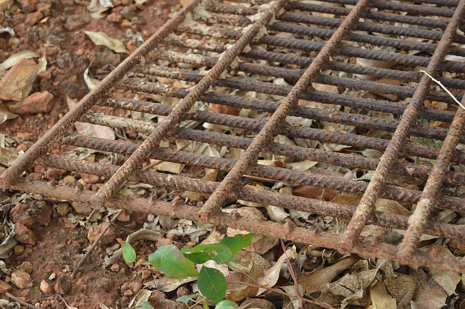 rust, iron, metal, rusty, no people, leaf, plant part, day HD wallpaper