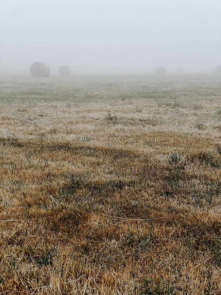 united kingdom, wantage, clouds, grey, yellow, brown, green HD wallpaper