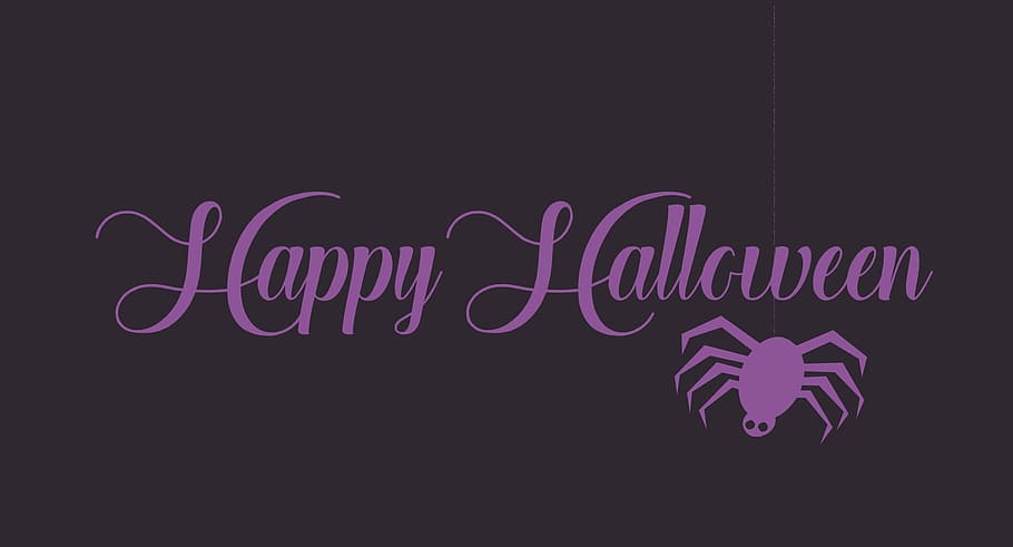 halloween, happy, text, background, holiday, spider, communication HD wallpaper