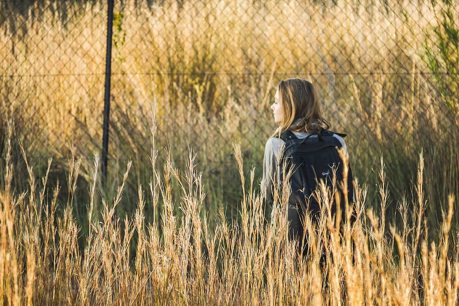 grass, exploring, fence, border, backpacking, photography, girl HD wallpaper