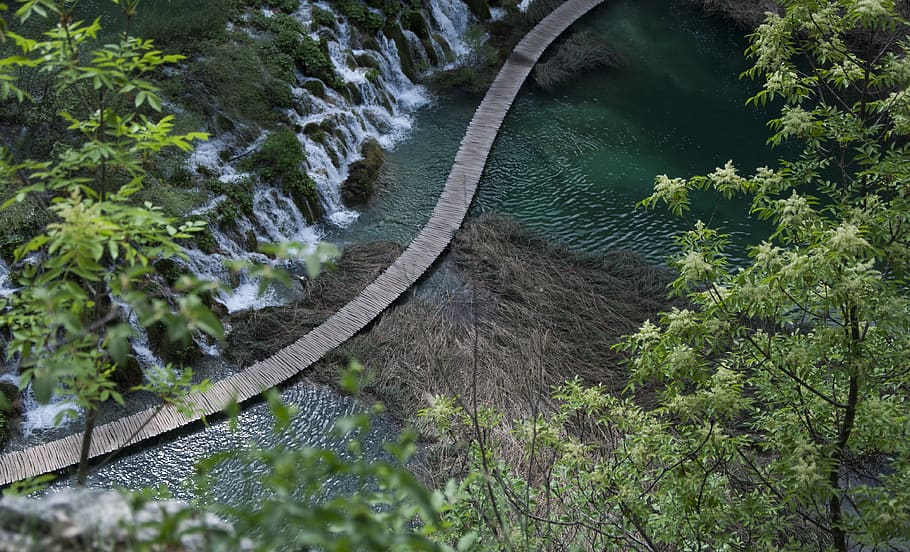 croatia, plitvička jezera, plitvice lakes national park, forest, HD wallpaper