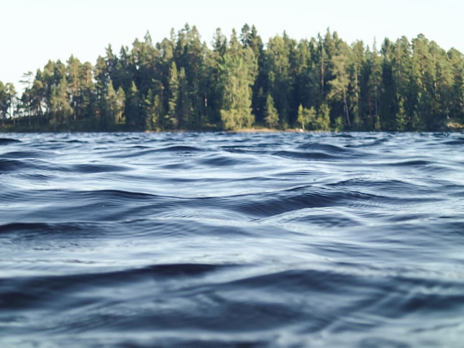 wave, wavy, water, flow, sea, blue, river, tree, beauty in nature HD wallpaper