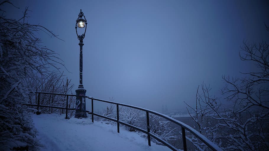 road covered in snow, lamp post, banister, handrail, nature, outdoors