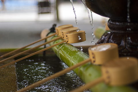 tokyo, giappone, bambu, water, temple, soul, japan, purification HD wallpaper