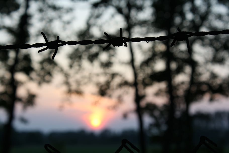 sun, nature, barbed wire, sunset, mood, dusk, rest, sunlight HD wallpaper