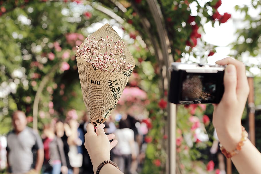 person holding camera, real people, focus on foreground, hand HD wallpaper