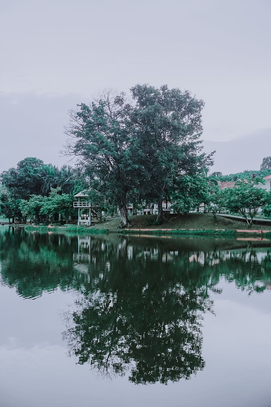 Green Trees Beside the River Under Cloudy Sky, beautiful, daylight HD wallpaper