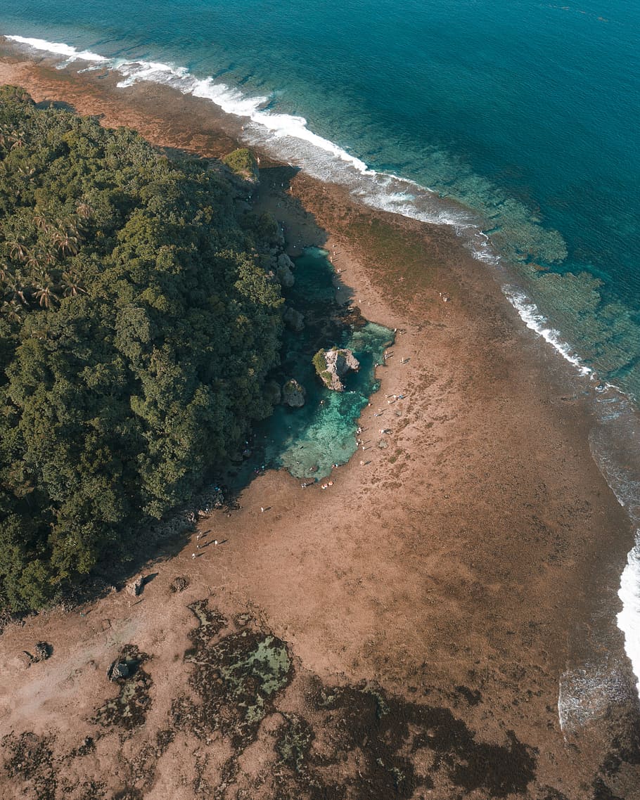 aerial photography of beach shore, water, tree, landscape, drone HD wallpaper