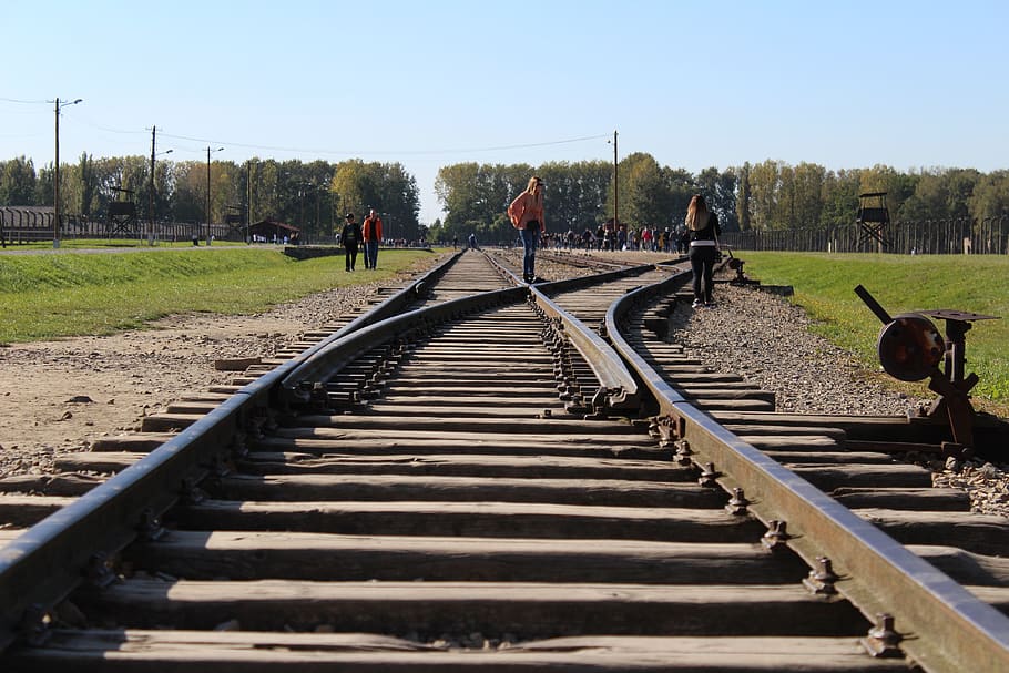 binary, auschwitz, poland, holocaust, birkenau, field, concentration HD wallpaper