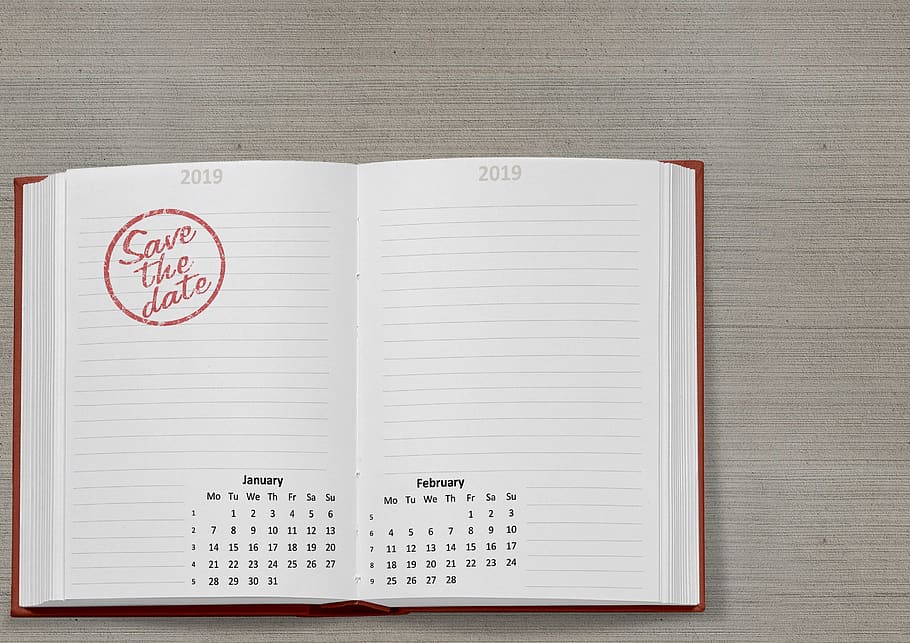 calendar, book, 2019, date, january, february, week, month HD wallpaper