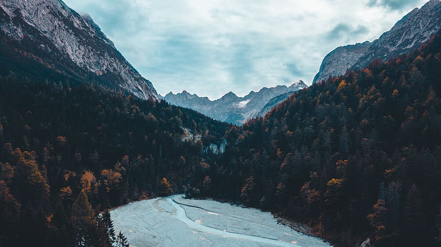 Aerial Shot Of Trees, daylight, forest, landscape, mountains HD wallpaper