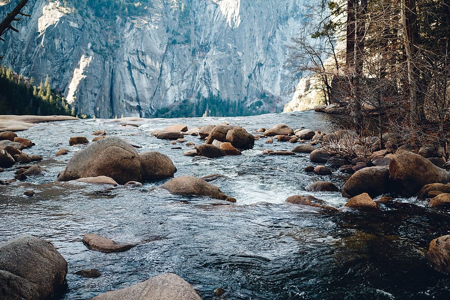river towards mountain, rock, animal, mammal, wildlife, otter HD wallpaper