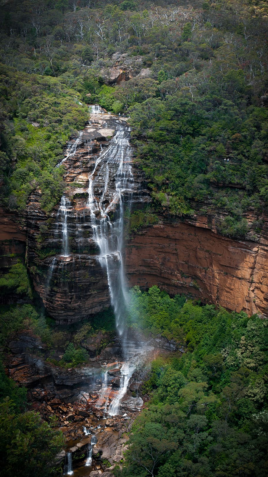 waterfalls, river, outdoors, australia, rainforest, tree, bush HD wallpaper