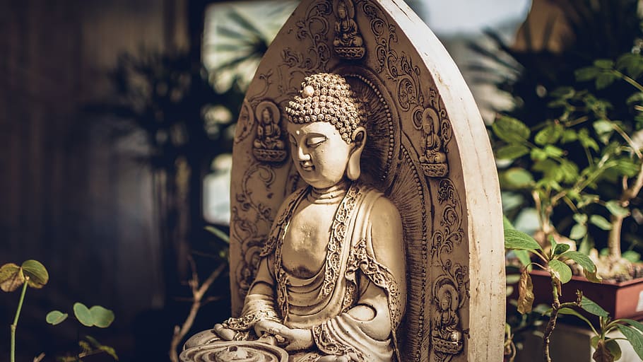 Gautama statue, buddha, art, worship, potted plant, pottery, vase HD wallpaper