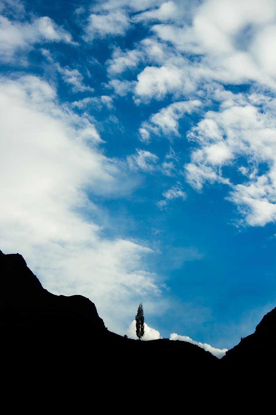 tree, sky, blue, minimal, shadows, drama, cotton clouds, cloud - sky HD wallpaper