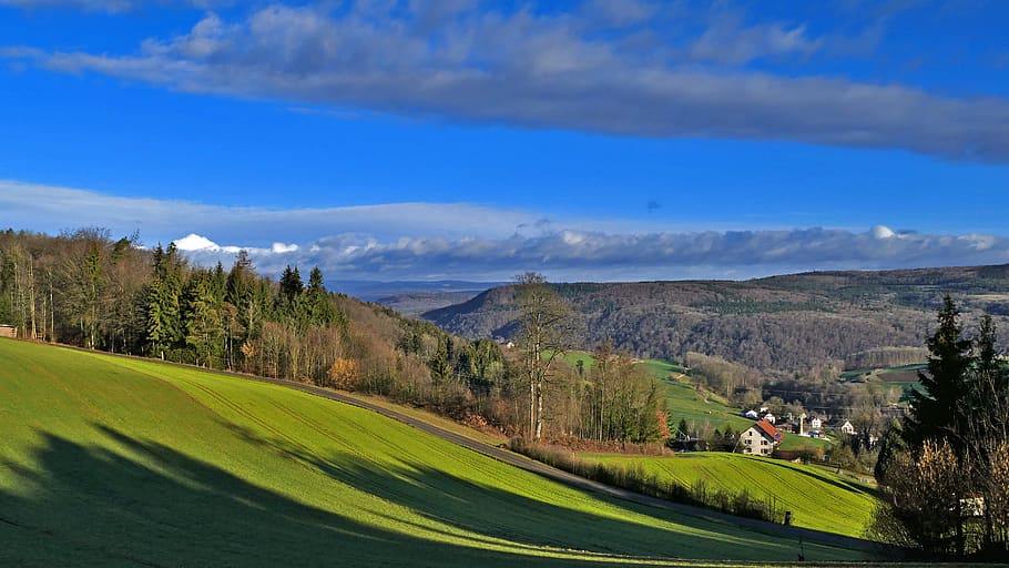 landscape, switzerland, nature, hill, reported, forests, trees, HD wallpaper