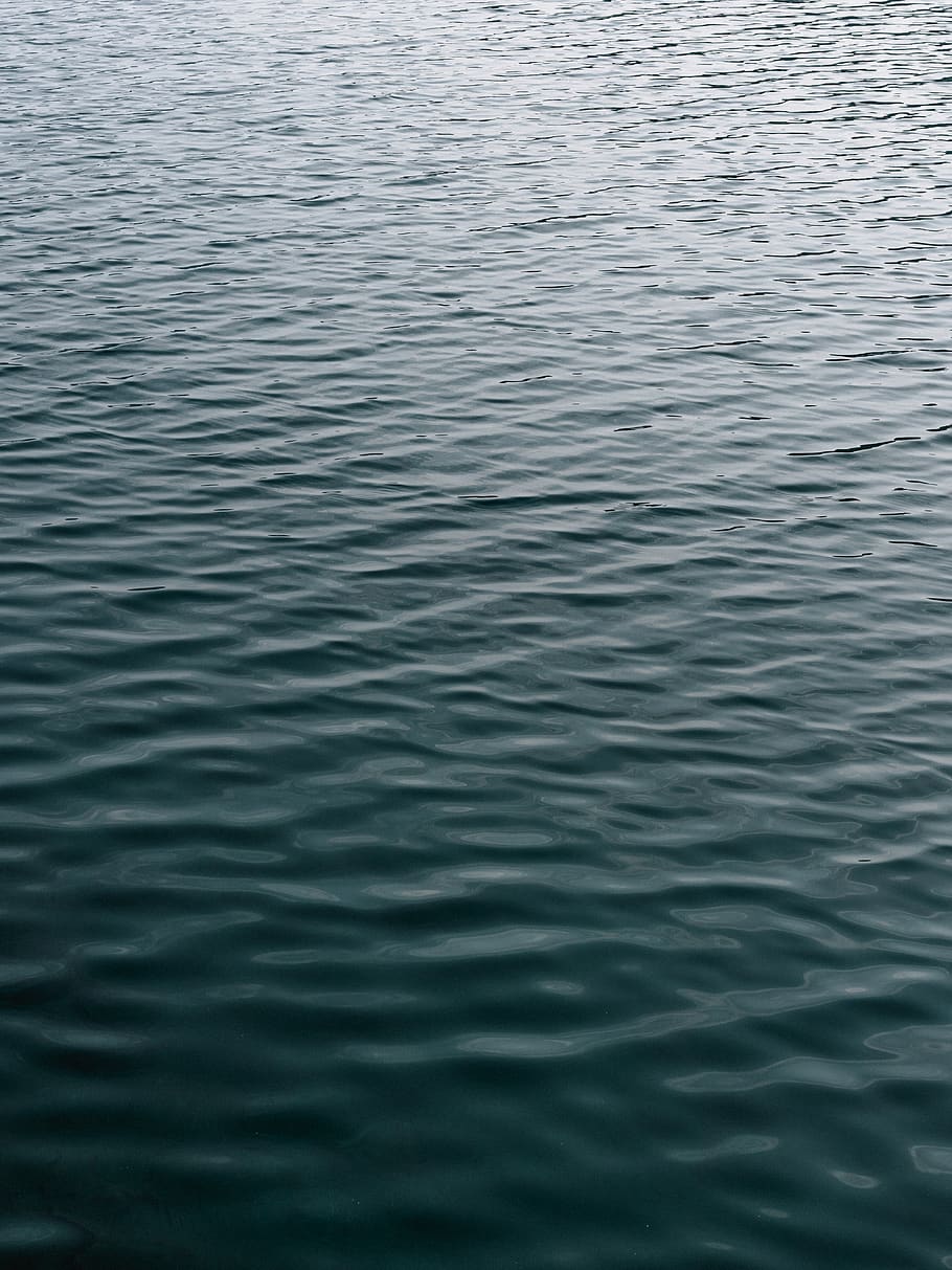 Body of Water, calm, clean, h2o, liquidity, ripples, sea, wave, HD wallpaper