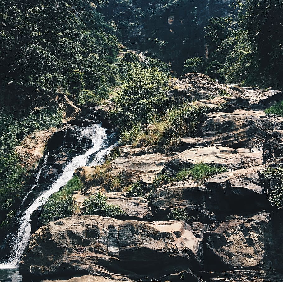 sri lanka, ella, rawana waterfall, tree, forest, rock, plant, HD wallpaper