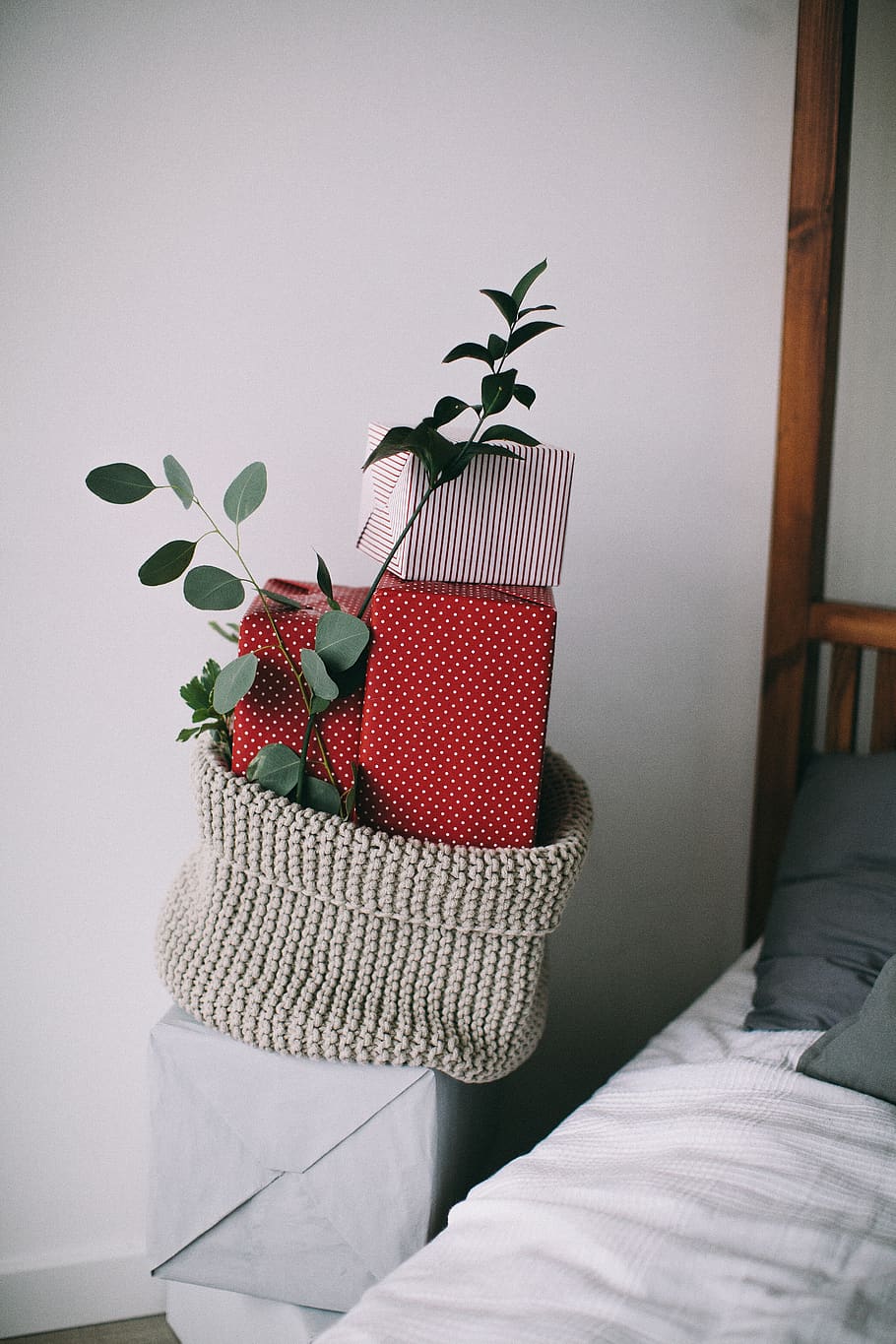 Green-leafed Plant in Gray Knitted Container, boxes, contemporary HD wallpaper