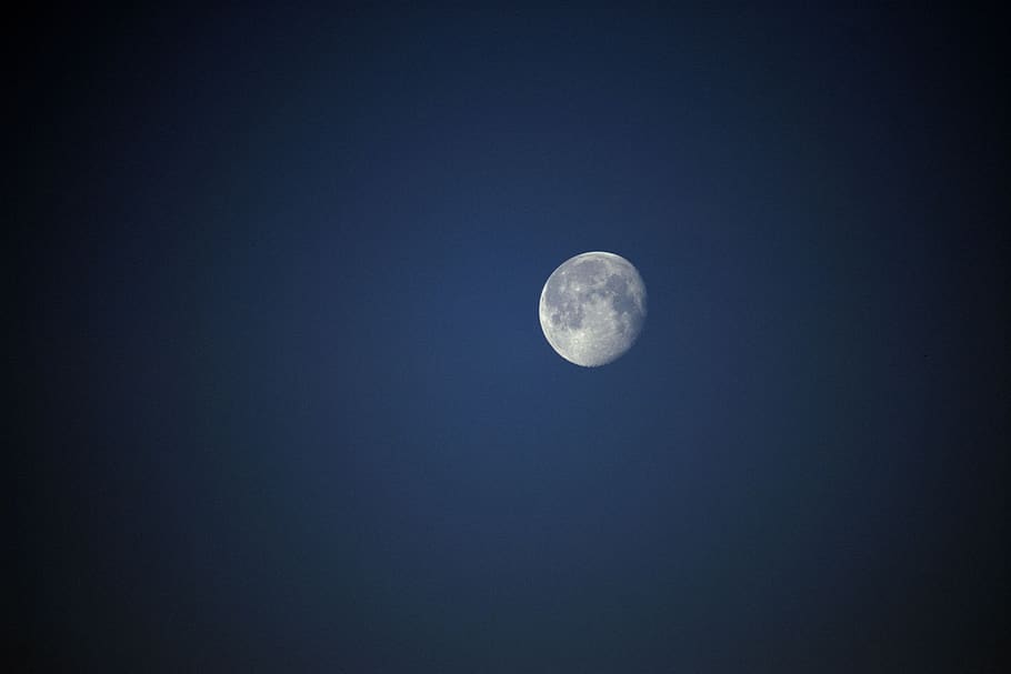 moon, planet, night, space, astronomy, universe, sky, blue HD wallpaper